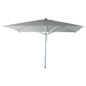 Parasol Veni