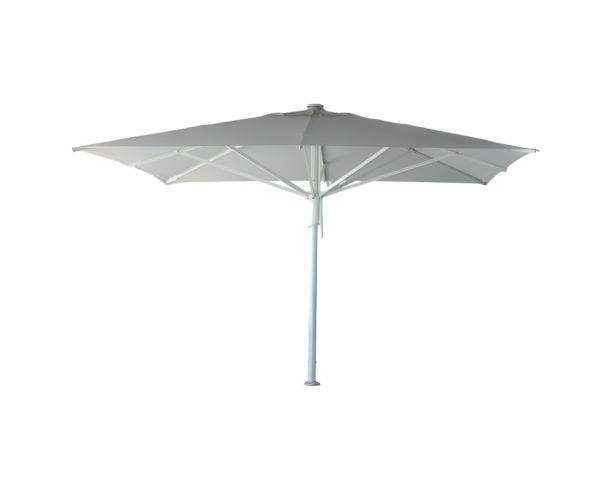 Parasol Veni